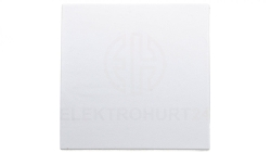 Klawisz 1-biegunowy przycisk 1x biały tworzywo 16201909