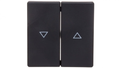 Berker Q.1/Q.3 Klawisze z nadrukiem symbolu /strzałka/ antracyt/ aksamit 16256086