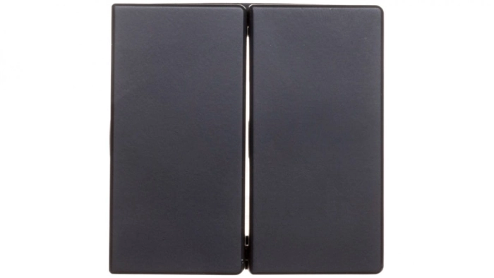 Berker Q.1/Q.3 Klawisze antracyt/ aksamit 16236086