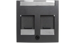 Berker B.1/B.3/B.7 Glas Element centralny podwójny z zasuwami chroniącymi przed kurzem z polem opisowym antracyt 11811606