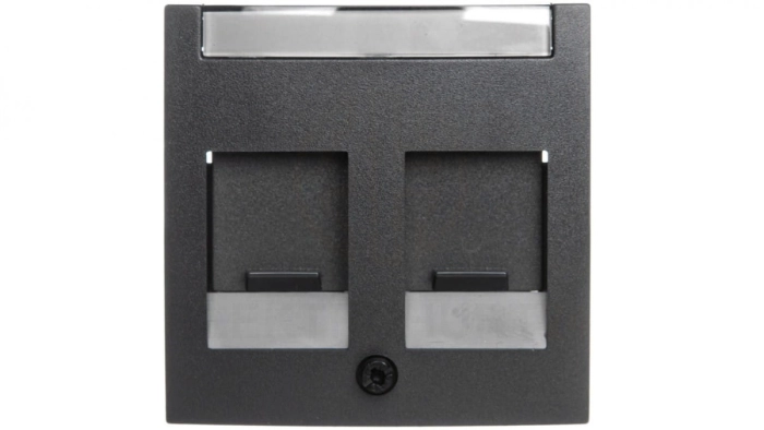 Berker B.1/B.3/B.7 Glas Element centralny podwójny z zasuwami chroniącymi przed kurzem z polem opisowym antracyt 11811606