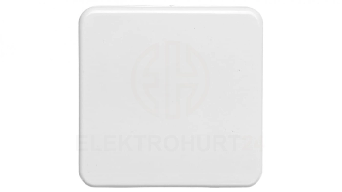 Berker IP44 Płytka czołowa gniazda z/u z pokrywą p/t bryzgoszczelne IP44 śnieżnobiały 39420409