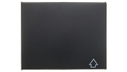 K.1 Płytka czołowa gniazda z/u i pokrywą antracyt mat lakierowany 3965777106