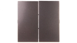 Simon 54 Klawisz podwójny do SW7/2XM i SW6P1M antracyt DKW9/48