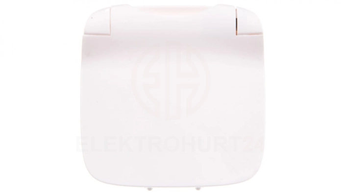 VALENA ALLURE Plakietka gniazda pojedynczego 2p+z z klapką biały 754865