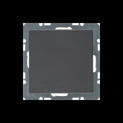 Berker Q.1/Q.3 Zaślepka z płytką czołową antracyt, aksamit 10096086