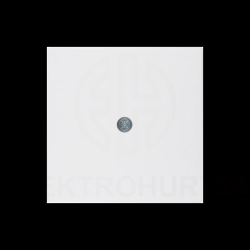 Element centralny do przyłącza kablowego i gniazda VDo śnieżnobiały S.1/B.1/B.3/B.7 Glas 10191909