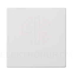 Simon Connect Zaślepka S500 pojedyncza 50x50mm, czysta