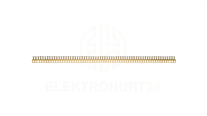 Listwa zaciskowa N/PE ze wspornikiem 2x25mm2 + 58x16 mm2 BFZ-TS-KL60 293633