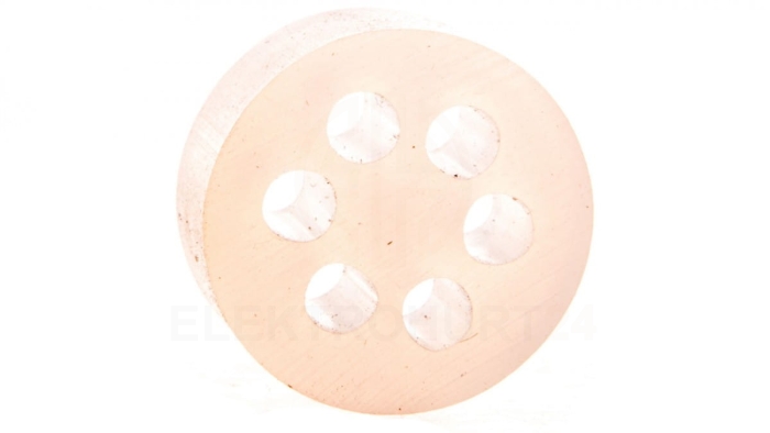 Wkład uszczelniający do dławnic PG21 IP54 6x4 SKINTOP DIX 21640 53621640