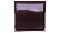 BIS Łącznik natynkowy pojedynczy brązowy ŁN-1B/24