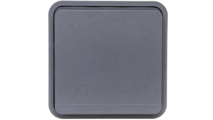 Berker W.1 Gniazdo pojedyncze z/u moduł IP55 szary 6768803515