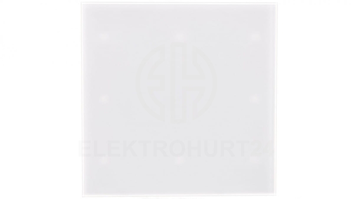 Panel do ramki i korpusu 100mm Trax Glass PTG100