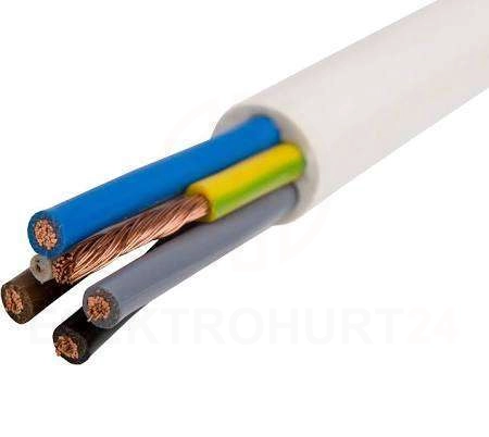 Przewód-warsztatowy-OWY-5x2,5mm2-biały-300-500V.jpg