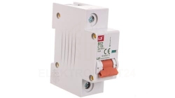 Wyłącznik modułowy LS Electric BKH 1P 125A charakterystyka C 06110332R0 BKH 1P C125A