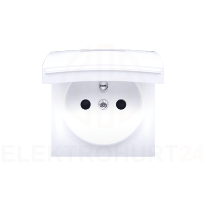 DGZ1BUZP-11-shop-onelectro-6576.png