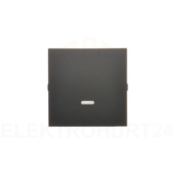 Simon 54 Klawisz z oczkiem do mechanizmów: SW1M SW