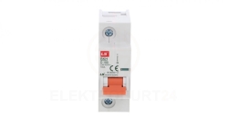 Wyłącznik modułowy LS Electric BKH 1P 100A charakterystyka D 06110335R0 BKH 1P D100A