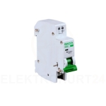 Rozłącznik modułowy,100A,1P