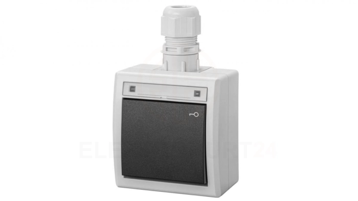 AQUANT 2K łącznik natynkowy zwierny klucz IP65 szary 5007-65