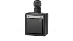 AQUANT 2K łącznik natynkowy zwierny światło IP65 antracytowy 5004-67