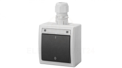 AQUANT 2K łącznik natynkowy 2-biegunowy IP65 antracytowy 5003-67
